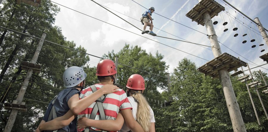 Asiantuntijapalvelut